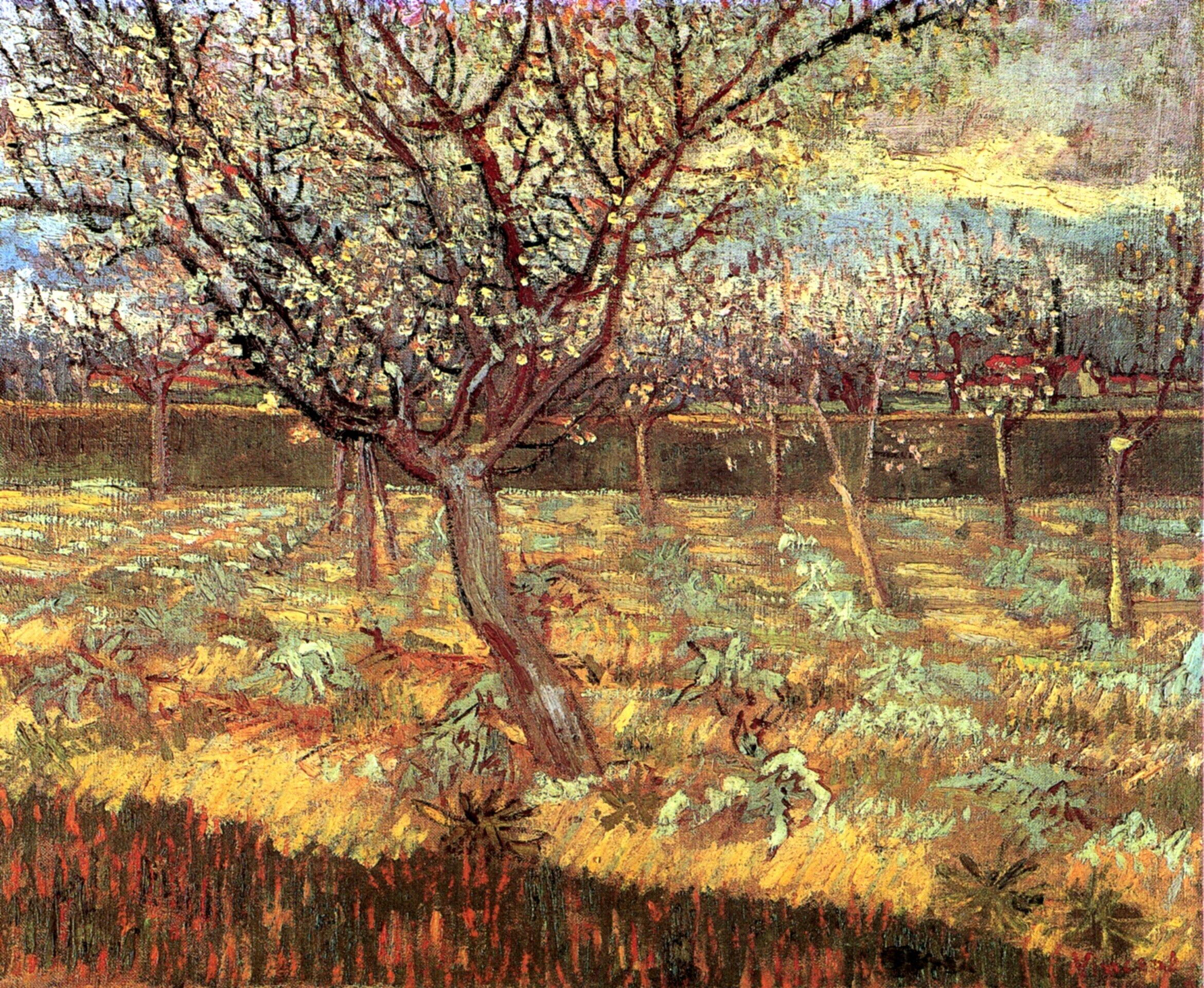Apricot Trees In Blossom, Van Gogh,1888